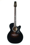 EF450C guitar