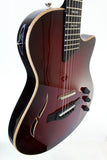 Taylor T5z Pro