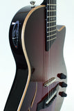Taylor T5z Pro detail