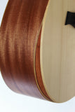 Taylor A12 detail