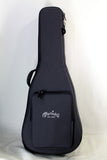 A blue guitar case