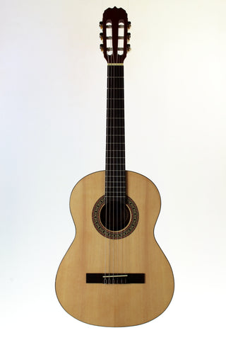 Sunlite GCN-800G, 3/4 Size Classical Guitar with gig bag.