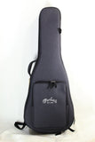 A Blue Guitar Case