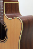 Takamine JP3DC12 detail