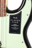 Player Plus P Bass label
